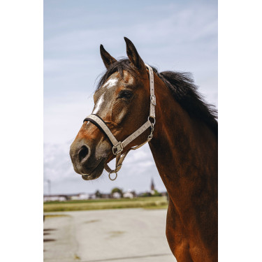 Cabezada de nailon Equithème Jacquard Gris pardo Marrón Cabezada de nailon Equithème Jacquard Gris pardo Marrón