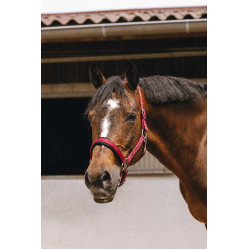Cabezada de nailon Equithème Jacquard Burdeos Cabezada de nailon Equithème Jacquard Burdeos