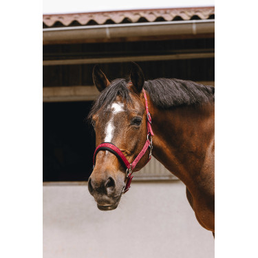 Cabezada de nailon Equithème Jacquard Burdeos Cabezada de nailon Equithème Jacquard Burdeos