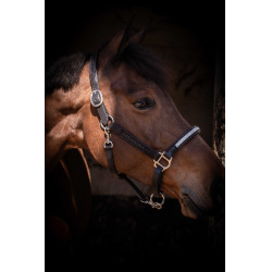 Cabezada Pénélope Harmonie