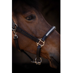 Cabezada Pénélope Harmonie