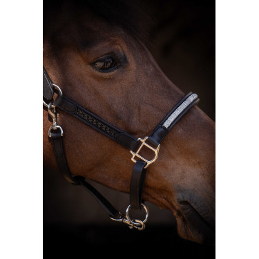 Cabezada Pénélope Harmonie