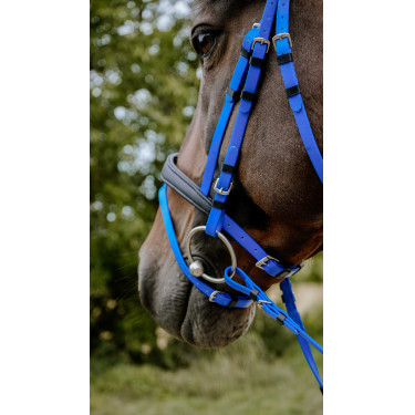 Bridon endurance NORTON - Pop