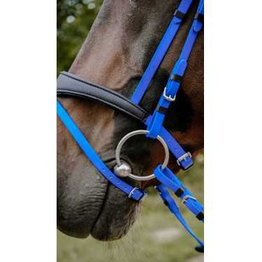Bridon endurance NORTON - Pop