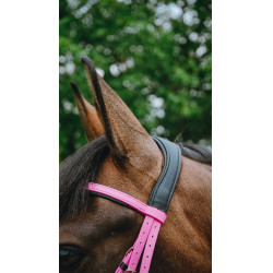Bridon endurance NORTON - Pop