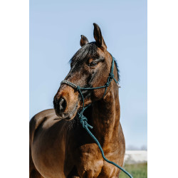 Licol éthologique + longe NORTON - Deco