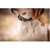 Collar para perro Penelope Billie