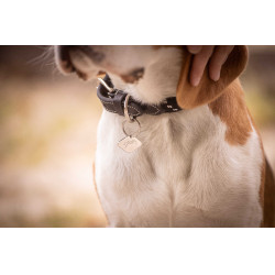 Collar para perro Penelope Billie