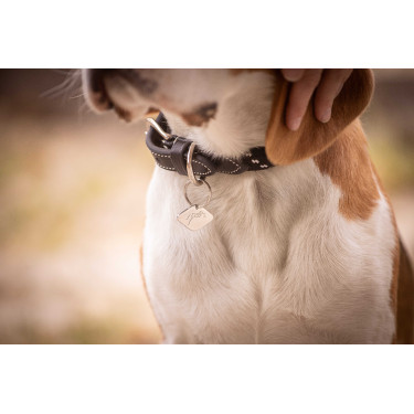 Collar para perro Penelope Billie Collar para perro Penelope Billie