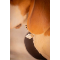 Collar para perro Penelope Billie Negro / lurex