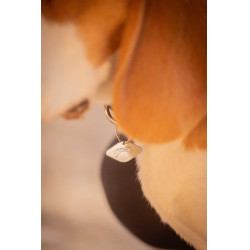 Collar para perro Penelope Billie