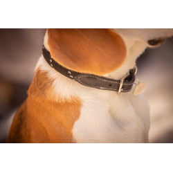 Collar para perro Penelope Billie