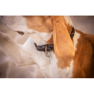 Collar para perro Penelope Billie Collar para perro Penelope Billie