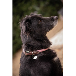 Collar para perro Penelope Billie