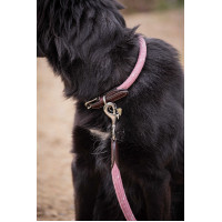 Collar para perro Penelope Billie Rosa / lurex