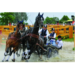 Chaleco Airbag Helite Air adulto Chaleco Airbag Helite Air adulto