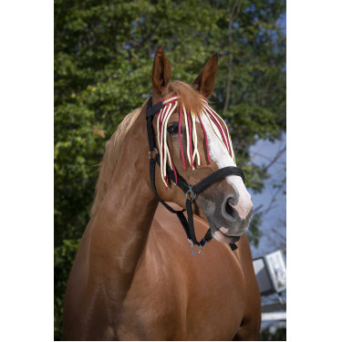 Frontalera mosquero Norton Rojo / crudo