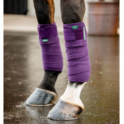 Vendas de polo Horseware Amigo Winterberry Violeta