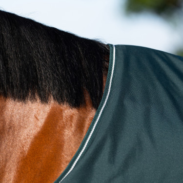 Manta de paddock Imperial Riding Basic sin cuello 300 g Verde Manta de paddock Imperial Riding Basic sin cuello 300 g Verde