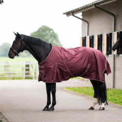 Manta de paddock Imperial Riding Basic sin cuello Summer Rojo profundo