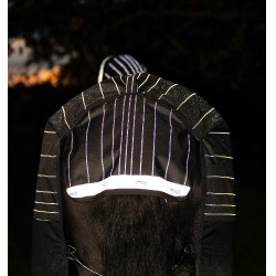 Manta Horseware Amigo 1200D FieldSafe Reflectech Plus Turnout 250 g Negro / negro reflectante Manta Horseware Amigo 1200D FieldSafe Reflectech Plus Turnout 250 g Negro / negro reflectante