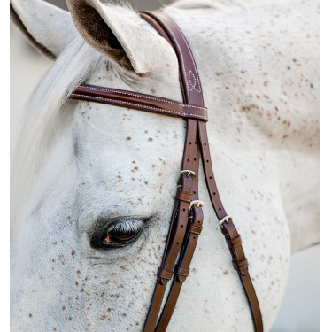 Brida para poni Horseware Cavesson Hunter con riendas