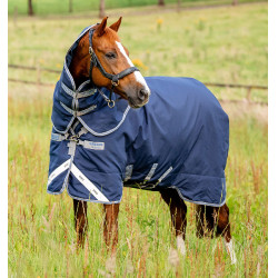 Manta Horseware Rhino Plus Turnout ligera 100 g