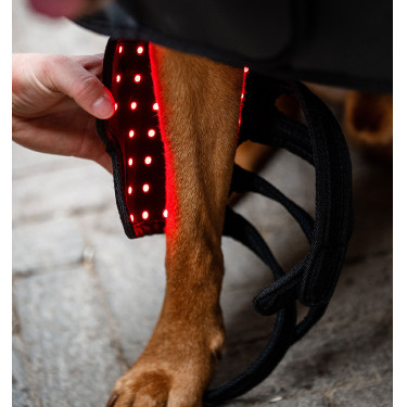 Protectores terapéuticos para perros Horseware con luz roja LED