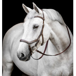 Brida Horseware Micklem Deluxe Competition Havana oscuro Marr&amp;amp;amp;oacute;n