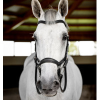 Brida Horseware Micklem Deluxe Competition