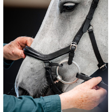 Brida Horseware Micklem Deluxe Competition Negro