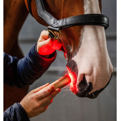 Estilete de terapia Horseware con luz roja LED Negro / negro