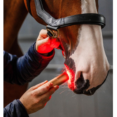 Estilete de terapia Horseware con luz roja LED Negro / negro