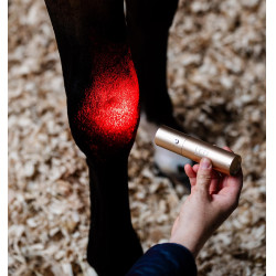 Estilete de terapia Horseware con luz roja LED Negro / negro