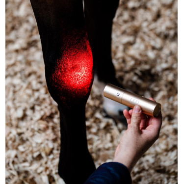 Estilete de terapia Horseware con luz roja LED Negro / negro