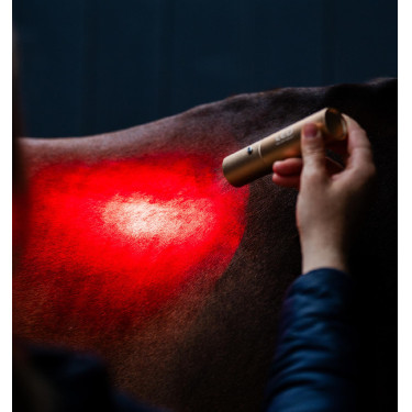 Estilete de terapia Horseware con luz roja LED Negro / negro