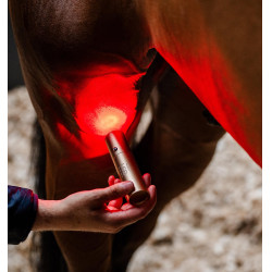Estilete de terapia Horseware con luz roja LED Negro / negro