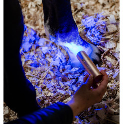 Estilete de terapia Horseware con luz roja LED Negro / negro