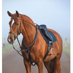 Pechopetral Horseware Micklem con martingala Negro