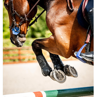 Guarniciones Horseware® Classic Negro / negro Guarniciones Horseware® Classic Negro / negro