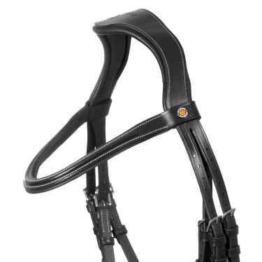Brida anatómica Equestro con muserola curvada Negro