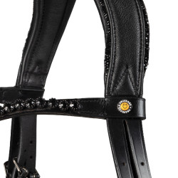 Brida de doma Equestro Diamond de cuero Negro