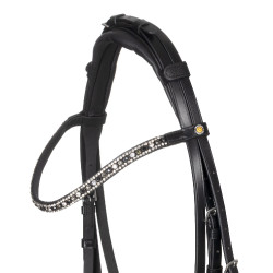 Brida Equestro con muserola anatómica Negro