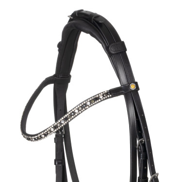 Brida Equestro con muserola anatómica Negro