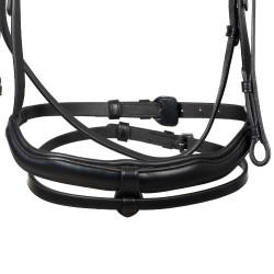 Brida Equestro con muserola anatómica Negro