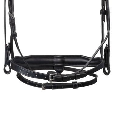 Brida Equestro con muserola anatómica Negro