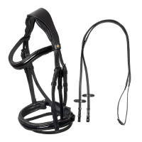 Brida Equestro curvada con forma frontal Negro