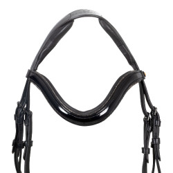 Brida Equestro curvada con forma frontal Negro