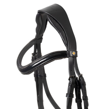 Brida Equestro curvada con forma frontal Negro