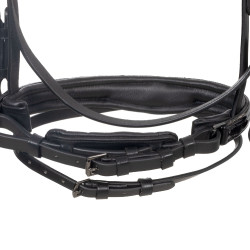 Brida Equestro curvada con forma frontal Negro